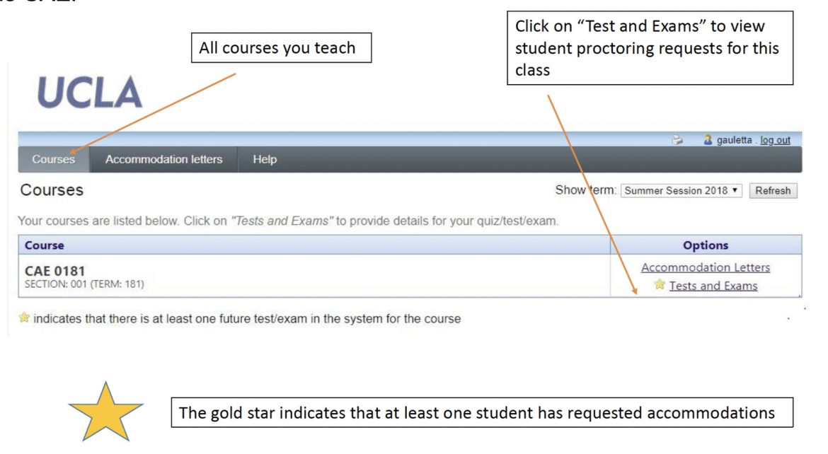 Screenshot of CAE Faculty Portal - courses